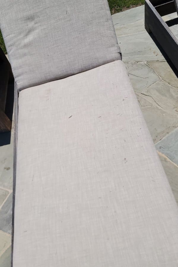 Rozen Area Rug Care contact about area rug cleaning in garden grove upholstery cleaning in garden grove carpet cleaning in garden grove oriental rug cleaning in garden grove
